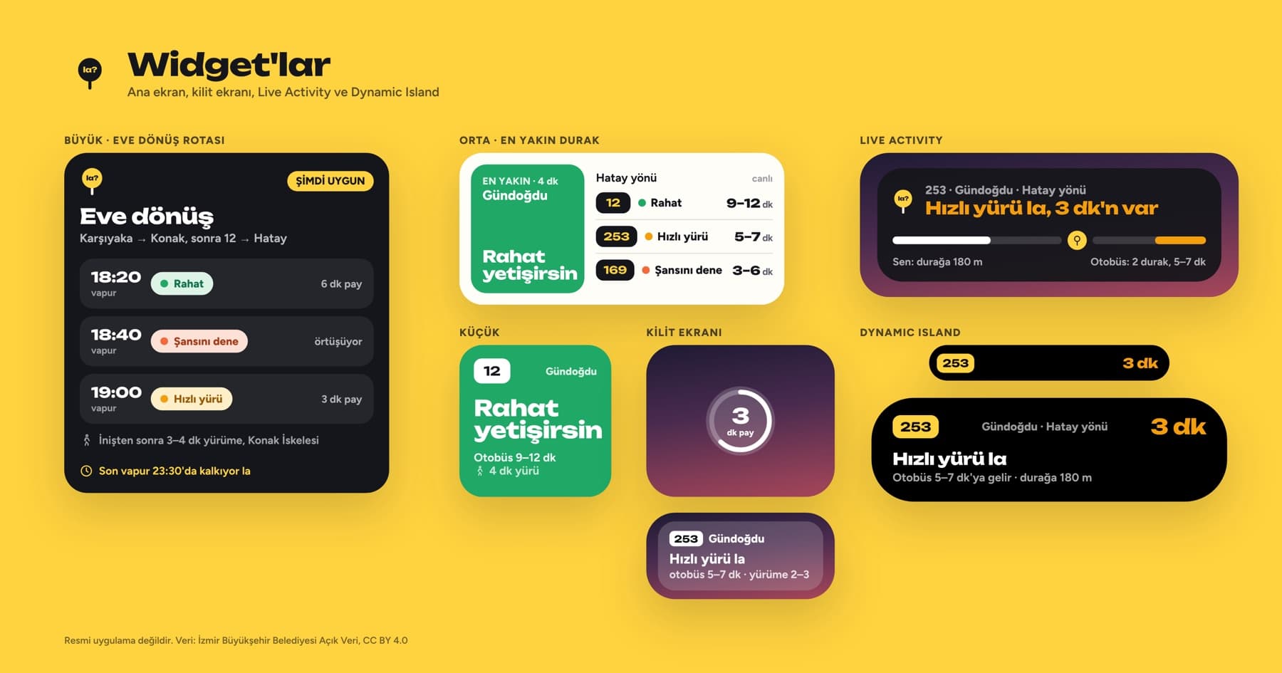 Ana ekran widget'ları